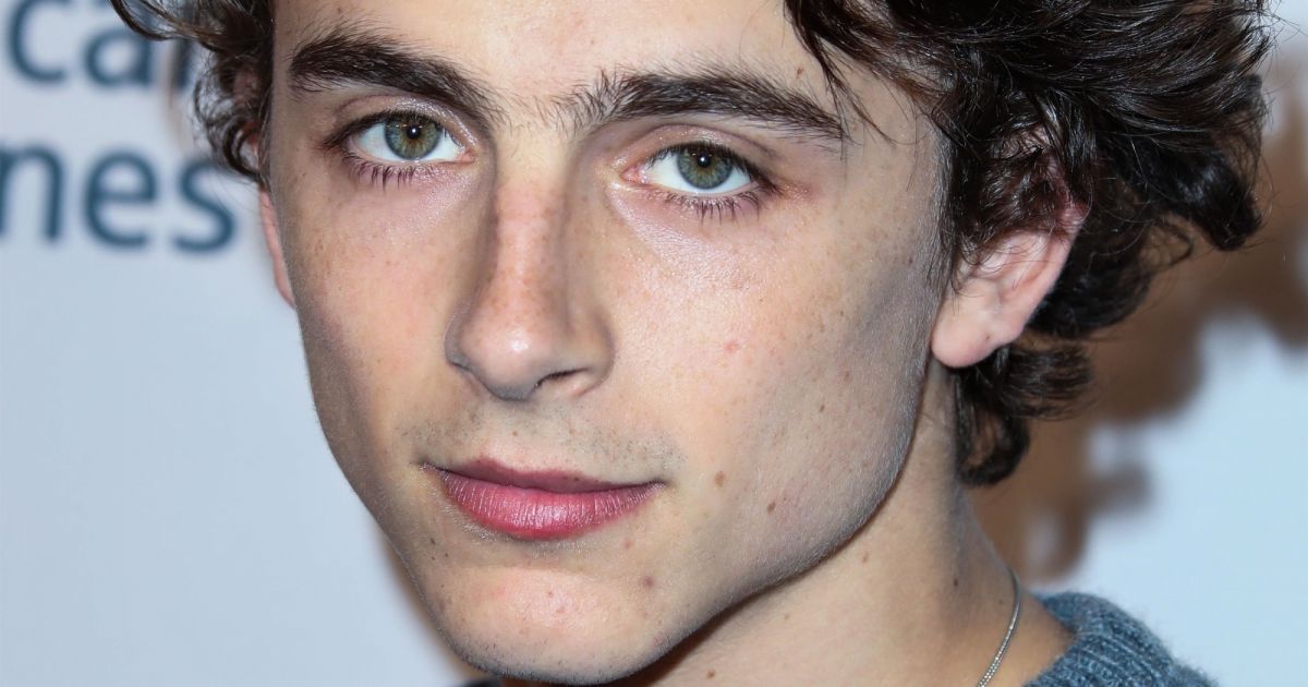 timothee chalamet